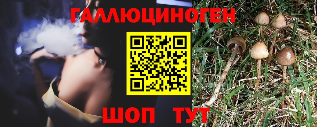 Галлюциногенные грибы Psilocybine cubensis Татарск